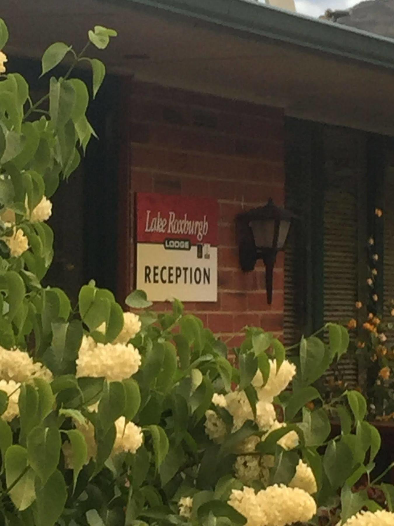 Lake Roxburgh Lodge Εξωτερικό φωτογραφία